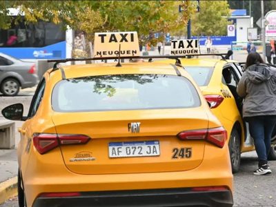 Presentarán oficialmente la App Neuquén Taxis y su uso será obligatorio en la capital