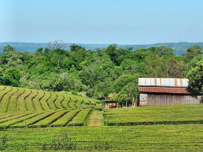 Naturaleza e historia: te contamos qué podes hacer en Oberá durante un fin de semana