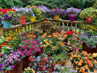 Aprovechá el invierno para juntar varios troncos secos: mirá cómo crear las macetas más hermosas para tu jardín