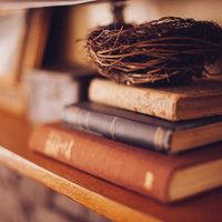 El secreto para limpiar la biblioteca de casa en tiempo récord y sin arruinar ningún libro