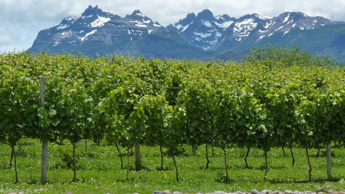 La reunión fue en “Viñas de Nant y Fall” de Trevelin. Fuente (redes sociales).