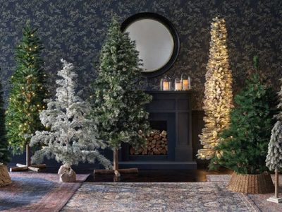 No tires el viejo árbol de Navidad y dale este espectacular uso que beneficia a tu bolsillo