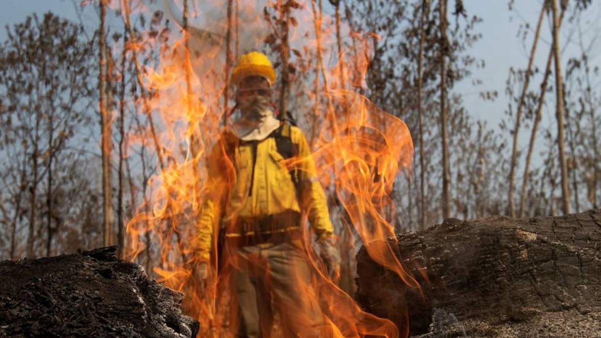 Imagen de archivo de los incendios forestales de la Amazonía en 2020. Fuente: (Twitter)