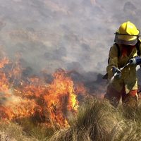 El fuego no da tregua: hubo nuevos focos de incendio en Córdoba