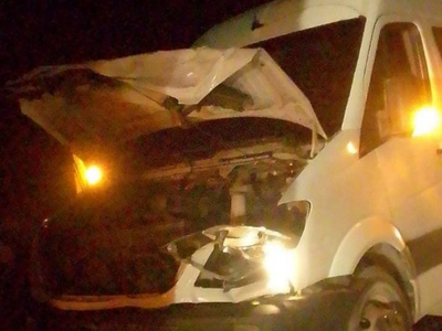 Viajaban en una combi por la ruta 17 y chocaron con un animal