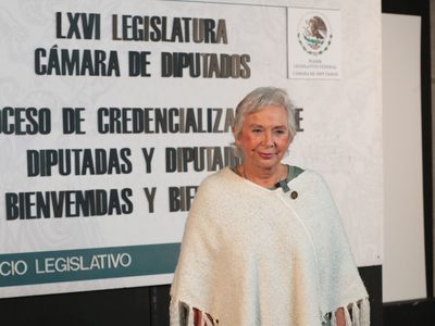 Sánchez Cordero teme que “malandrines” ocupen cargos en el Poder Judicial por elección popular
