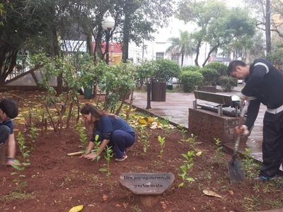 Buscan fomentar un polo turístico inspirado en la yerba mate