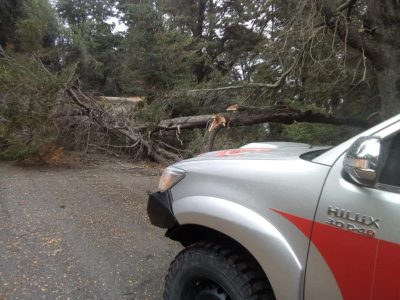 Frío y nieve en Pehuenia, pero antes, fuertes vientos causaron daños