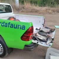 La Dirección Provincial de Fauna dependerá ahora del Ministerio de Seguridad