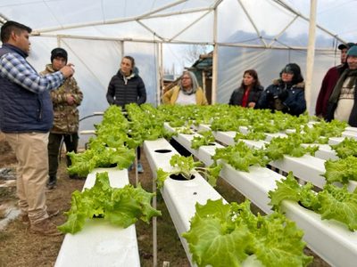 El boom del cultivo hidropónico: más de 100 personas participaron de una capacitación en Plottier