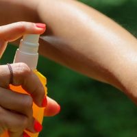 Preparate para el verano: así podés hacer este repelente de mosquitos, natural y más económico que los comprados
