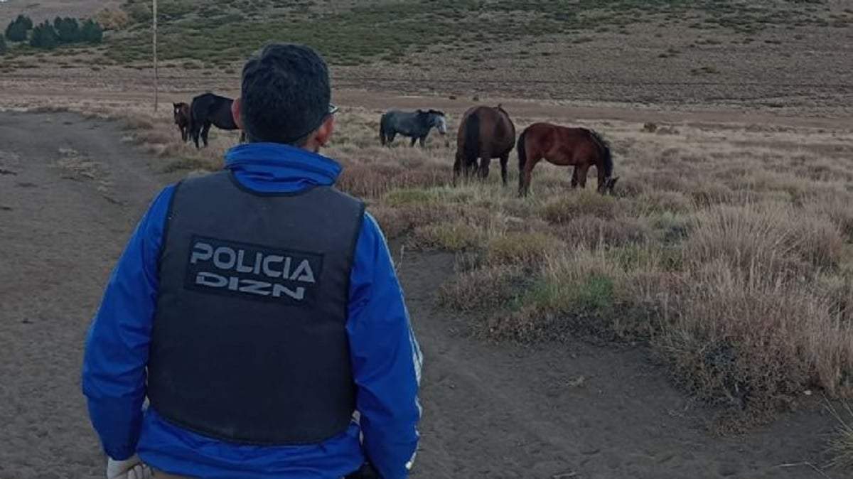 La causa se inició por la denuncia del robo de 8 caballos y 1 yegua. Fuente (Facebook)