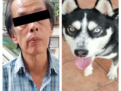 Detienen a hombre por golpear con cadena a un perro Husky Siberiano en calles de Cuauhtémoc