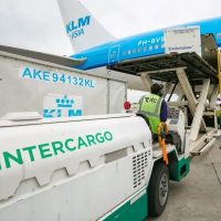 Privatización de Intercargo: el Gobierno Nacional oficializó el monto mínimo para la licitación