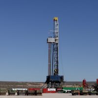 Vaca Muerta impulsa el protagonismo de Argentina en la nueva proyección petrolera de la OPEP