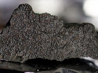 Meteorito que cayó en la Tierra en 2021 contiene todos los ingredientes para la vida