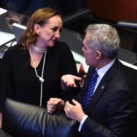 Senado aprueba mecanismos de control y límites de uso de la fuerza de autoridades de seguridad