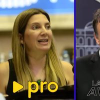 Tensión entre LLA y el PRO por la caída de Ficha Limpia en el Senado