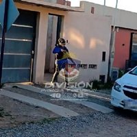 Detuvieron a un exempleado de la Legislatura por el millonario robo a un distribuidor