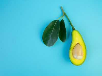 El truco para tener tu propio árbol de paltas en pocas semanas