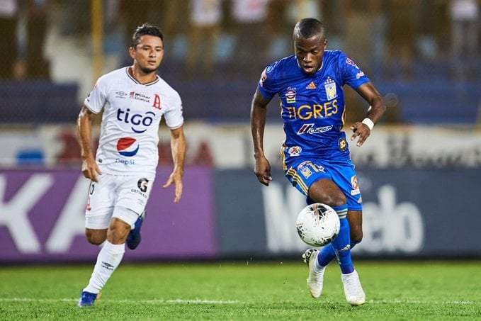 Tigres.Fuente: (Twitter)