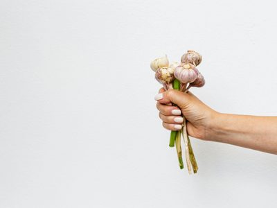 El poderoso insecticida de ajo que protegerá tus plantas