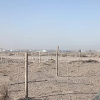 Familias adjudicadas con loteos sociales en Centenario reclaman luz, agua y accesos mínimos