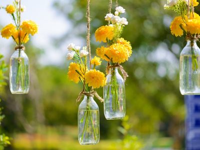 No tires los frascos de vidrio ni los potes de queso crema: creá esto tan hermoso para tus plantas