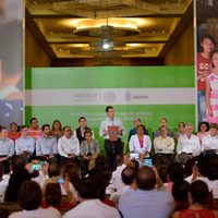 Sin mencionar a los 43 ni a desaparecidos de Arcelia, Peña ofrece más seguridad para Guerrero