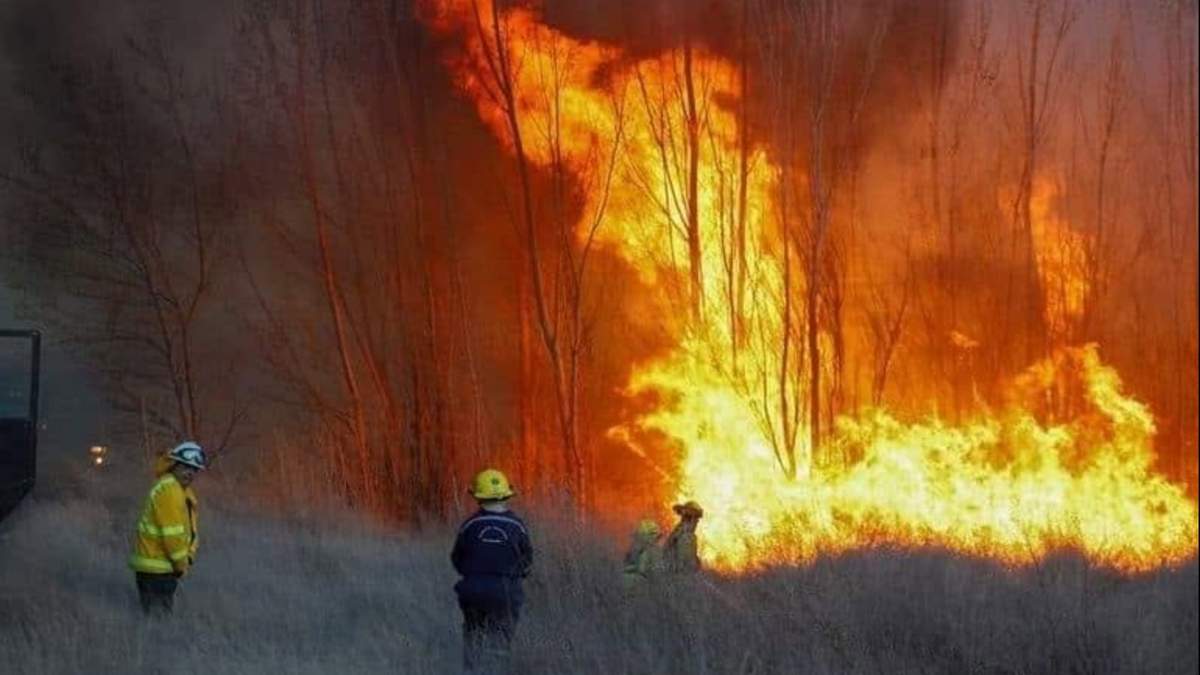 Foco de incendio. Fuente: (Facebook)