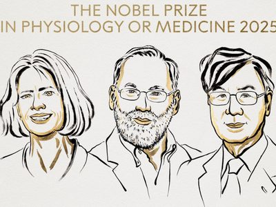 Dieron a conocer a los ganadores del Premio Nobel de Medicina