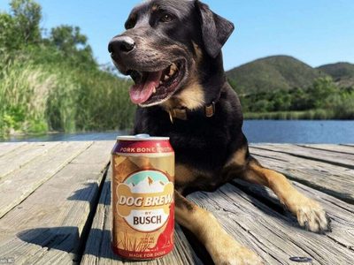 Cerveza para perros: saludable, con muchos nutrientes y sin alcohol