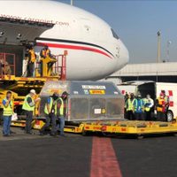 Destinan a municipios vacunas Pfizer recién llegadas a México