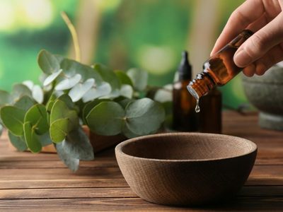 La planta que podés poner en el baño para mejorar tu salud en otoño