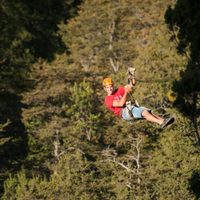 La otra atracción de Bariloche: canopy en el Cerro López, una forma de volar entre los árboles
