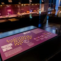 Dos ladrones someten a guardia y roban decenas de monedas de oro antiguas de museo suizo