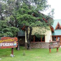 Nueva línea de colectivos conectará Villa Pehuenia con Neuquén capital