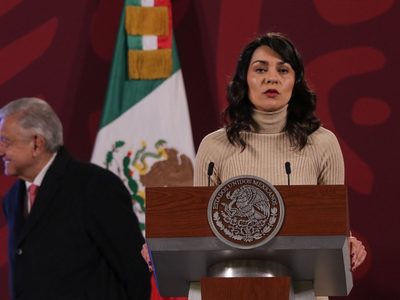 Reforma electoral: García Vilchis tunde a Denise Dresser y Claudio X. González por "decir mentiras"