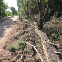 Humedales del río Limay: nuevamente intimidan al municipio de Neuquén