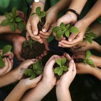 Efemérides: cada 26 de enero se celebra el Día Mundial de la Educación Ambiental
