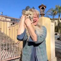 El perrito Oreo sobrevivió a los incendios en California y logró reencontrarse con su dueño (Video)