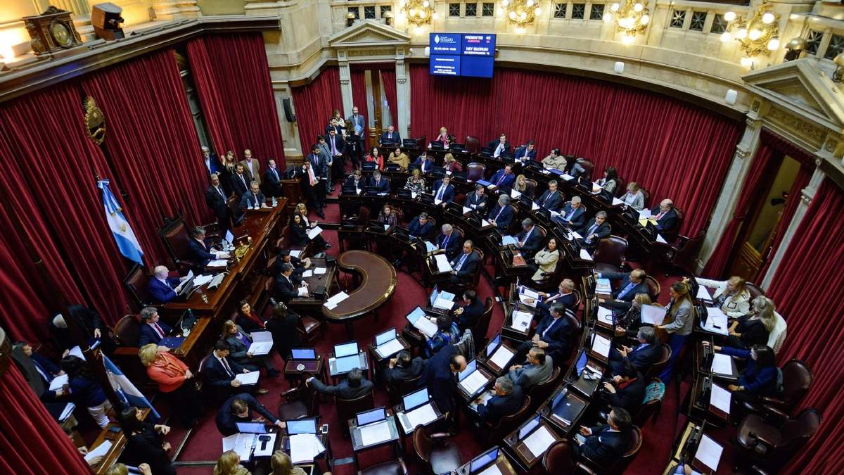 Cámara de Senadores. Foto: (Twitter)