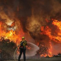 En llamas: se desató un brutal incendio en una localidad neuquina