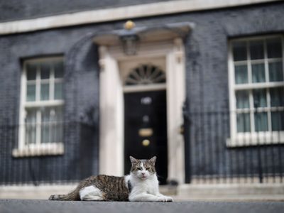 ¿Cuál es el protocolo ante la muerte de Larry, el gato de la residencia del primer ministro?