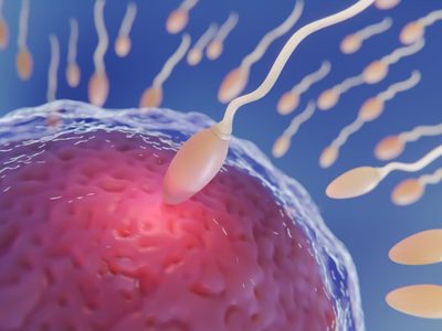 Avance histórico en fertilidad: crean óvulos a partir de células de piel