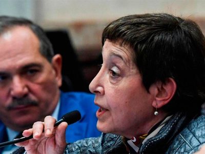 Causa Alperovich: denunciaron a la senadora Mirkin por "encubrimiento agravado"