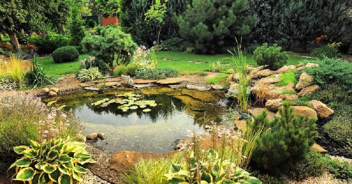 Plantas. Fuente: (Verdecora)