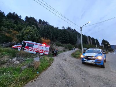 Un vehículo que se dirigía a Villa La Angostura por la ruta 40 impactó contra un caballo