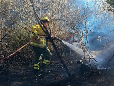 Pescadores acamparon en una zona prohibida y provocaron un incendio
