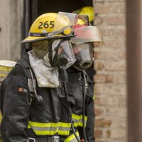 Maltrato animal en El Bolsón: un bombero mató a un perro y desató la indignación